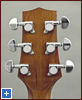 HAG-150 back of the headstock