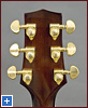 HAG-230 back of the headstock