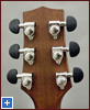 HAG-240 back of the headstock