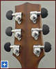 HAG-250 back of the headstock