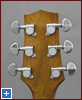 HAG-300SCE back of the headstock