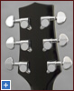 HAG-305SCE back of the headstock