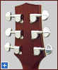 HAG-310SCE back of the headstock