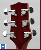 HAG-320SCE back of the headstock